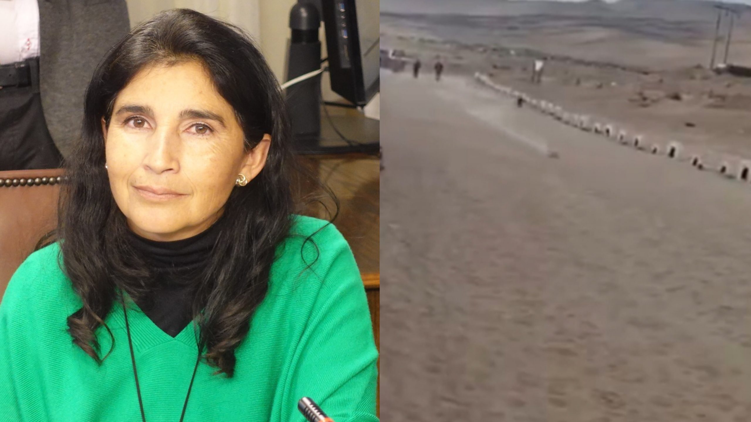 Diputada Ahumada cuestiona inacción del Gobierno ante carreras clandestinas de galgos y llama a cumplir compromiso animalista
