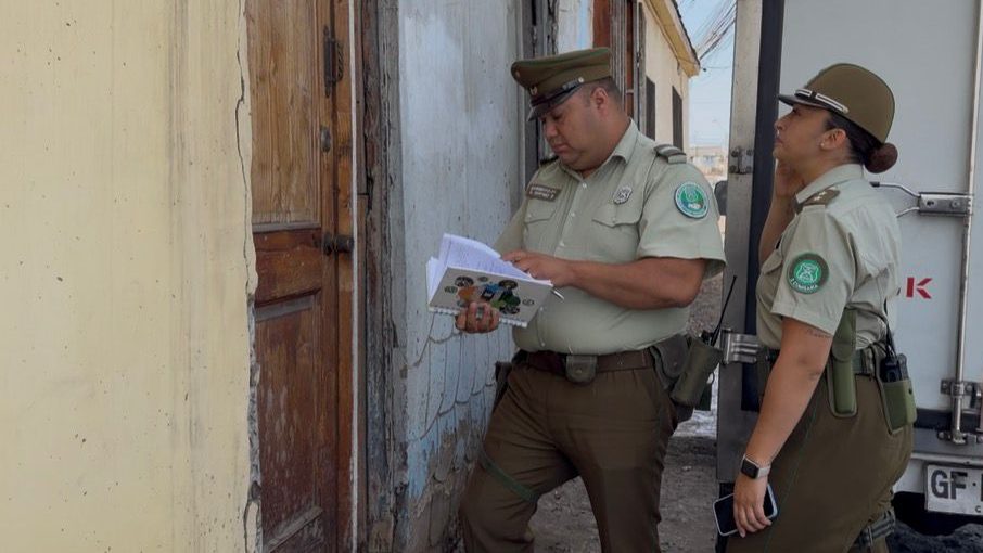 Alerta por maltrato animal en sector norte: Carabineros interviene tras denuncia de 12 perros encerrados y atacándose entre sí