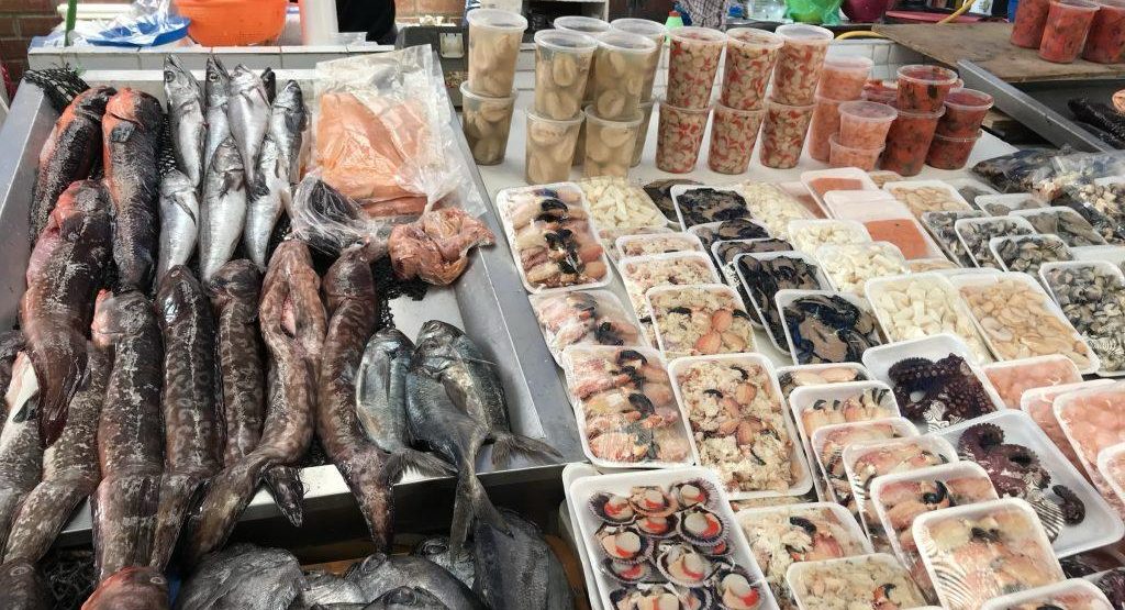 Especialista de la UA entrega claves para un consumo seguro de pescados y mariscos en Semana Santa