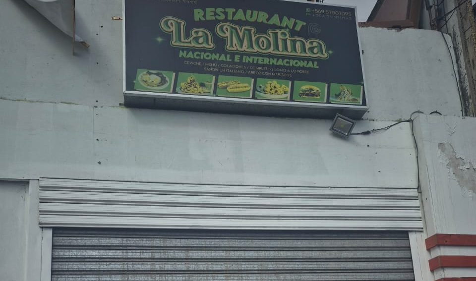 Baratas, carne podrida y 33°C en la cocina: Prohíben funcionamiento a restaurante del centro de Antofagasta