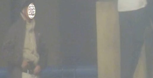 Central de Televigilancia permitió detener a joven armado en Plaza Bicentenario